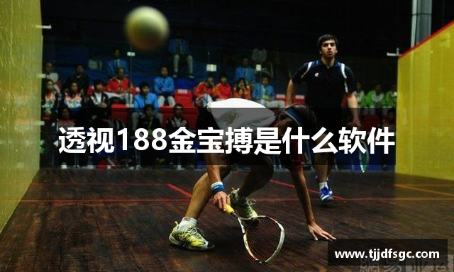 透视188金宝搏是什么软件